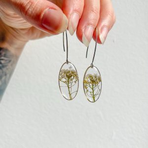 Steinkraut Ohrringe, oval, silbern